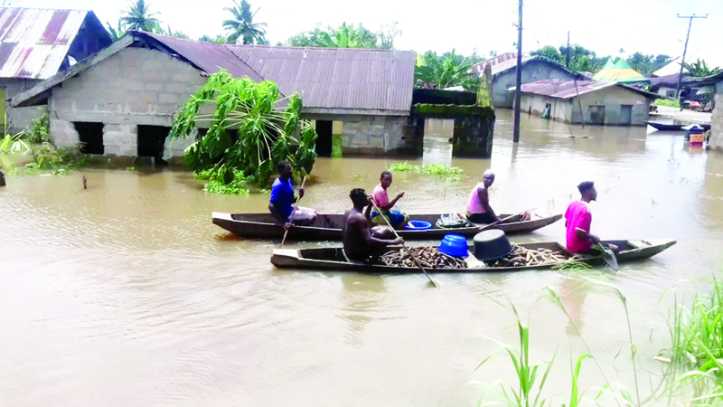 নাইজিরিয়ায় ভয়াবহ বন্যা