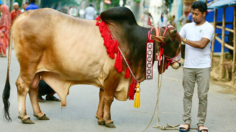 ঈদুল আজহায় সারাদেশে পশু কোরবানির সংখ্যা কত?