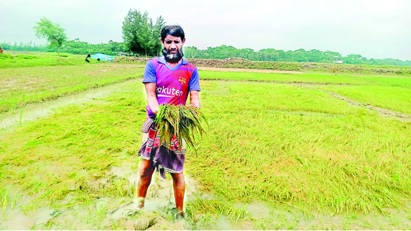 আদমদীঘিতে ছয় গ্রামে জলাবদ্ধতা