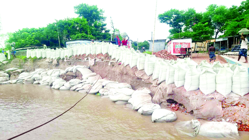 দৌলতদিয়া ফেরিঘাট হুমকির মুখে