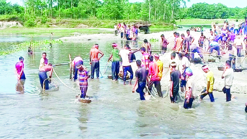 ডাহুক নদে পাথর তোলার মচ্ছব 