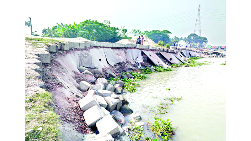 শরীয়তপুরে পদ্মা সেতু প্রকল্পের তীর রক্ষা বাঁধে ভাঙন