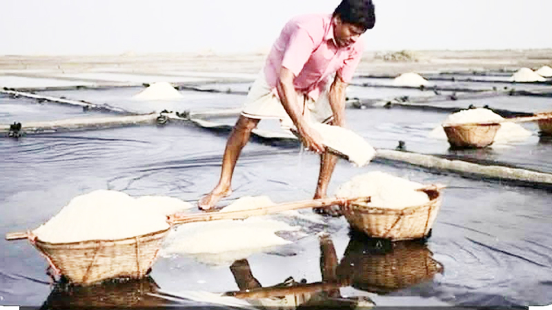 মহেশখালীতে লবণ শিল্পে বিপর্যয়ের আশঙ্কা