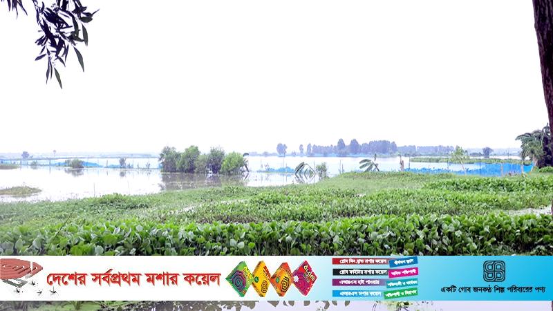 দুই হাজার হেক্টর জমিতে বোরো চাষ অনিশ্চিত