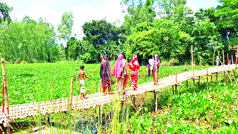 রৌমারীতে সাঁকো নির্মাণ করলেন বিজিবি ও ছাত্ররা