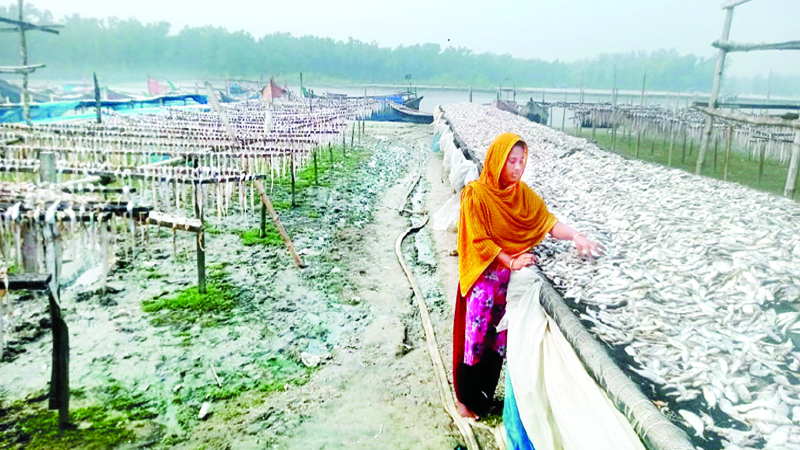 স্রোতে ভাসা মুন্নীর কষ্টের জীবন