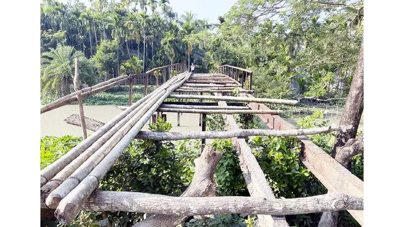 মঠবাড়িয়ায় সিডরে বিধ্বস্ত সেতু আজও সংস্কার হয়নি