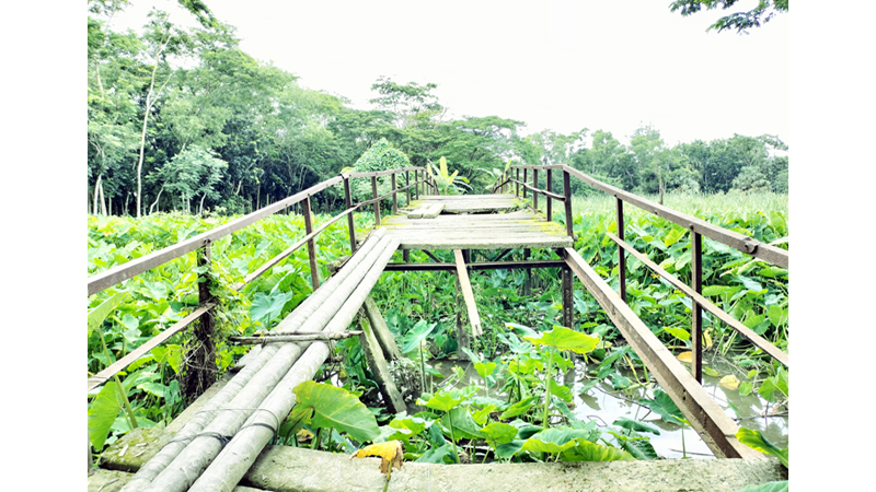 বাকেরগঞ্জে সেতু এখন মরণফাঁদ