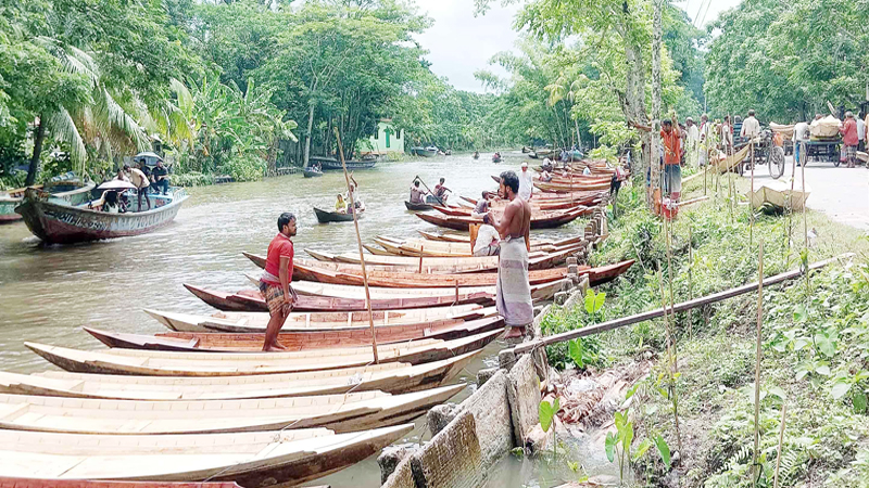 নেছারাবাদে জলে-ডাঙ্গায় নৌকার প্রাচীন হাট