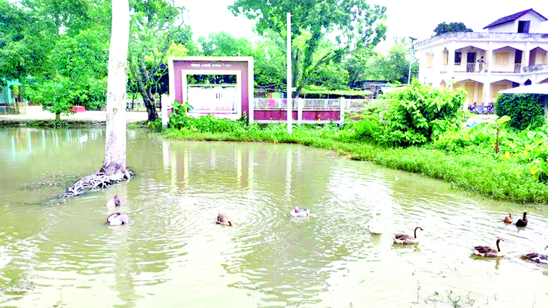 দিনাজপুরে স্কুলে প্রবেশের মুখেই পুকুর