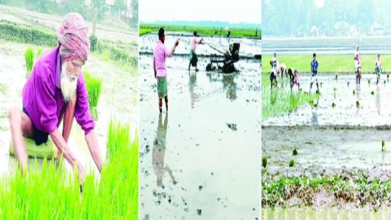 জীবিকার কাছে হার মানছে উত্তরাঞ্চলের কনকনে ঠান্ডা