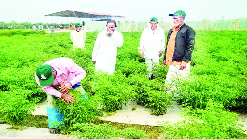 কৃষি গবেষণায় উন্মুক্ত হচ্ছে নতুন দিগন্ত