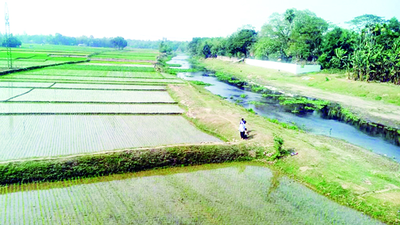 শেরপুরে হারিয়ে যাচ্ছে নদ-নদী