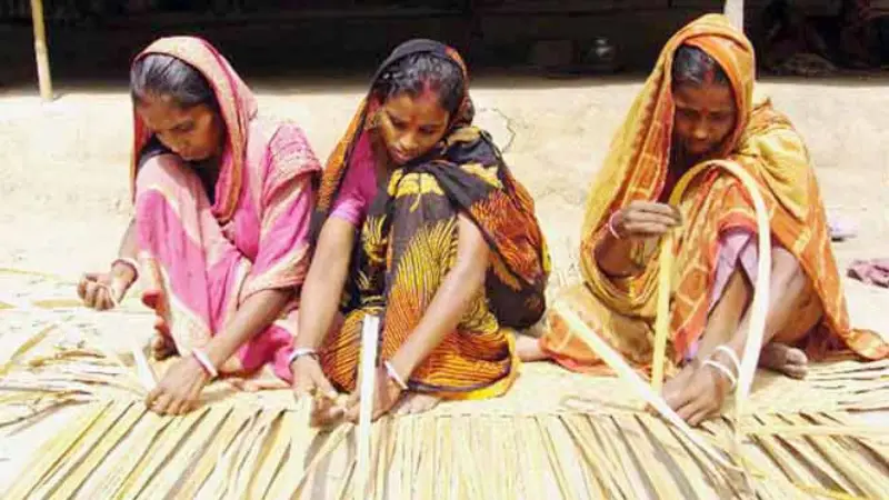 বাউফলে হোগলা বুনে জীবিকা নির্বাহ করছে সহস্রাধিক নারী