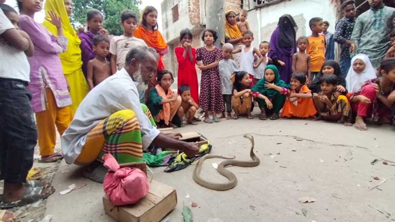 সামান্য আয়েই চলে বেদেদের জীবন জীবিকা