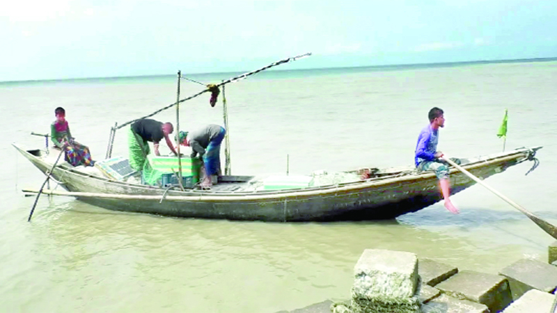 রুপালি শস্যের খোঁজে