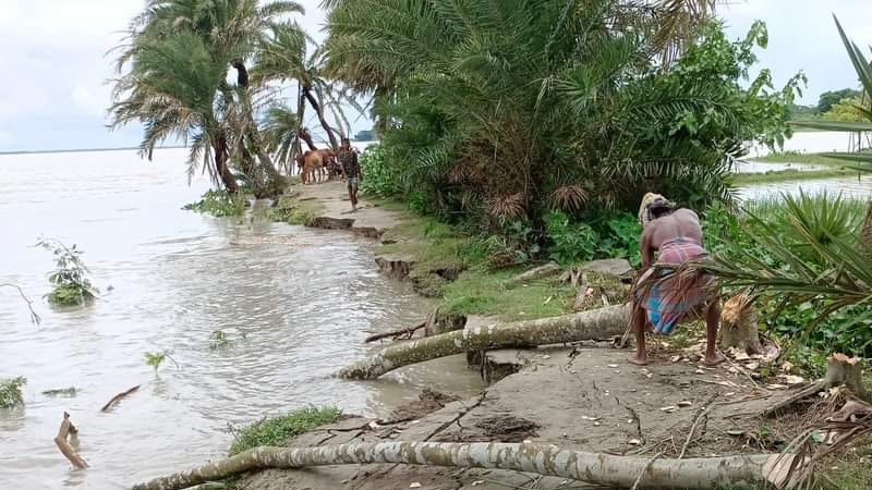 তেঁতুলিয়া নদীর অব্যাহত ভাঙনে ভিটেমাটিহীন শত শত পরিবার