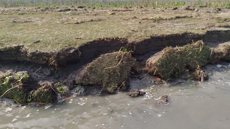 কারখানা নদীর ভাঙনে ঘরবাড়ি, ফসলি জমি ও শিক্ষাপ্রতিষ্ঠান বিলীন