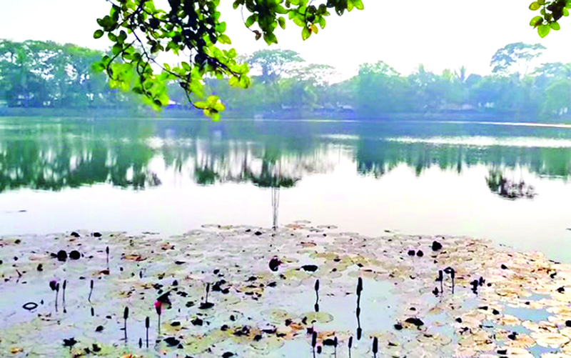 একদিকে পূজা-অর্চনা, অন্যদিকে নামাজ- সম্প্রীতির প্রতীক