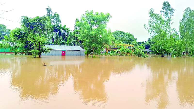 টানা বৃষ্টি ও পাহাড়ি ঢলে ফের বন্যা, জলাবদ্ধতা