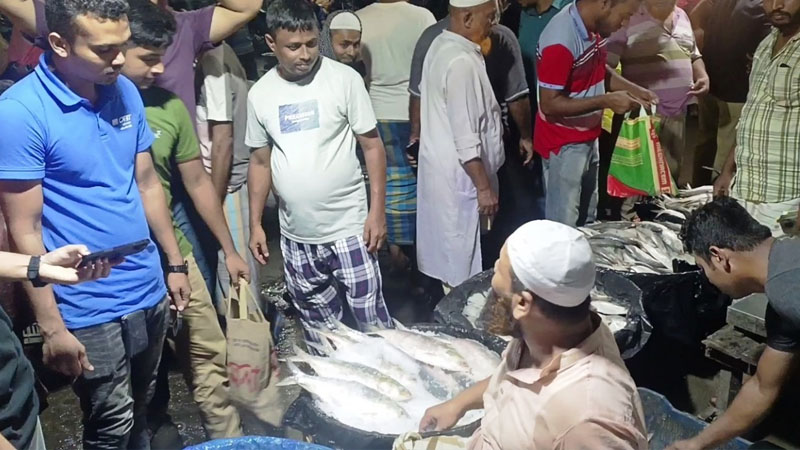 মাদারীপুরে ইলিশের মেলা: দুই কোটি টাকার মাছ বিক্রি