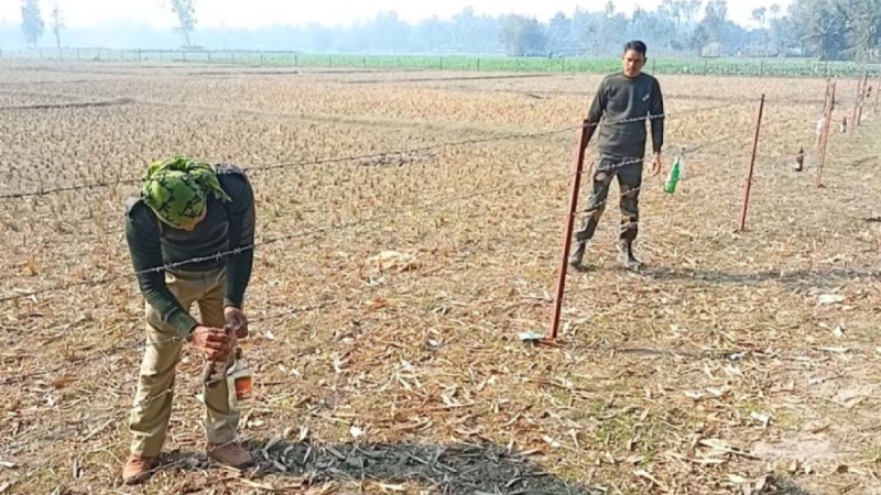 কাঁটাতারে মদের বোতলে রহস্য: দেশের মানুষকে সামরিক প্রশিক্ষণের প্রস্তাব