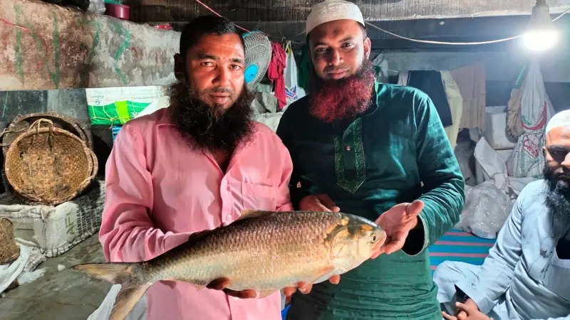 ৭ হাজার টাকায় ১ টি ইলিশ