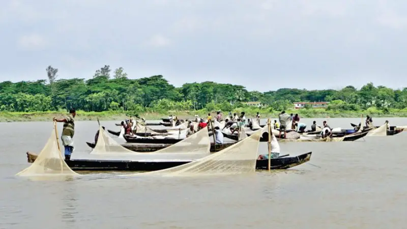 বিপন্ন হালদা, জীব-বৈচিত্র্য হুমকিতে