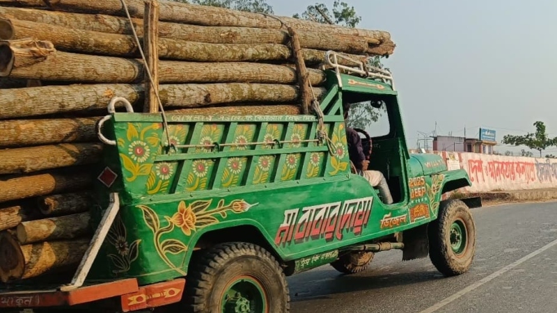 দিবালোকে পাচার হচ্ছে কাঠ